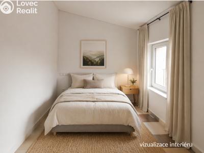 Rent apartment 1+1 Třebotov, Hlavní č. 7