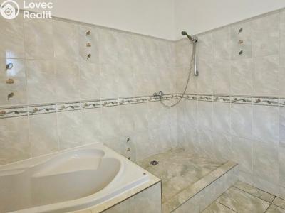 Rent apartment 1+1 Třebotov, Hlavní č. 8
