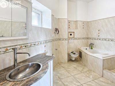 Rent apartment 1+1 Třebotov, Hlavní č. 9