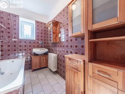 Продаж багатогенного будинку Slabčice č. 5