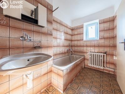 Продаж багатогенного будинку Slabčice č. 10