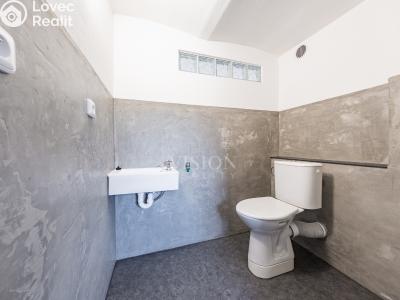 Продаж багатогенного будинку Slabčice č. 14