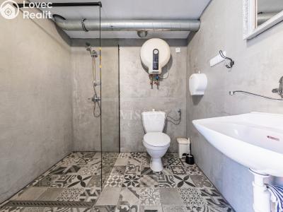 Продаж багатогенного будинку Slabčice č. 16