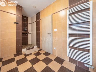 Продаж сімейного будинку Temešvár č. 7