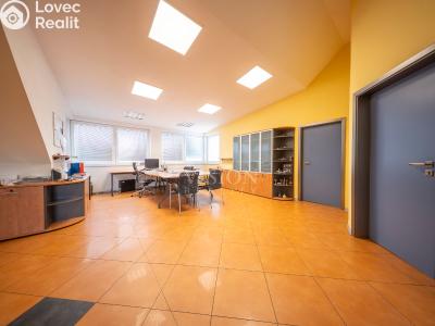 Rent office space Slapy č. 4