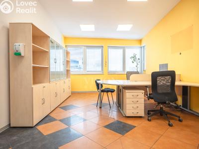 Rent office space Slapy č. 6