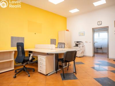 Rent office space Slapy č. 7