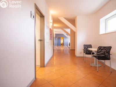 Rent office space Slapy č. 10
