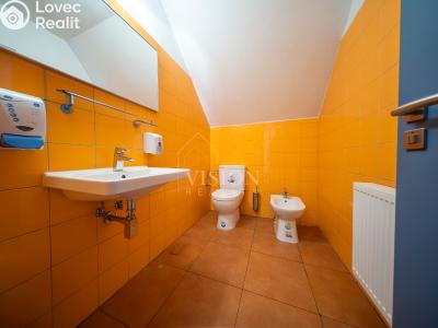 Rent office space Slapy č. 18