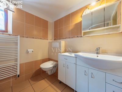 Prodej rodinného domu Staré Město pod Landštejnem č. 8