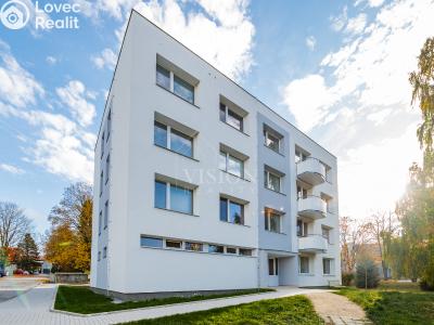 Prodej bytu 3+1 Slavonice, sídliště Svatopluka Čecha 105 č. 1
