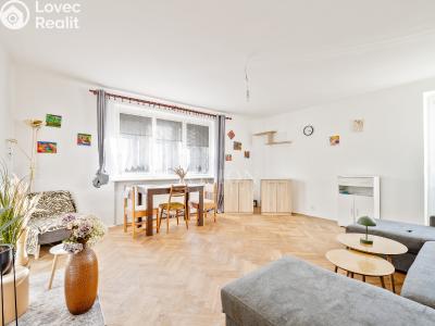 Prodej bytu 3+1 Klatovy, Družstevní č. 1