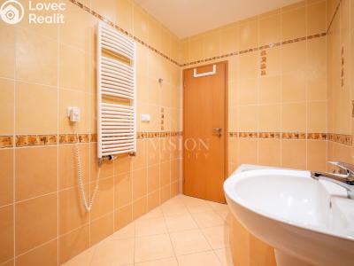 Продаж квартири 2+KK Praha, R.A. Dvorského č. 17