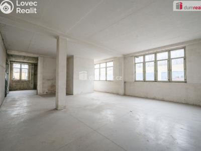 Prodej výrobní haly Veselí nad Lužnicí, Svinenská č. 9