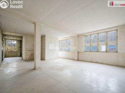 Prodej výrobní haly Veselí nad Lužnicí, Svinenská č. 8