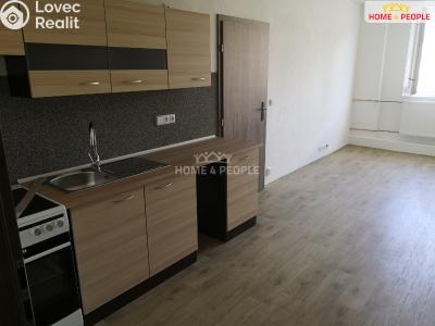 Rent apartment 2+KK Chodov, Školní č. 1