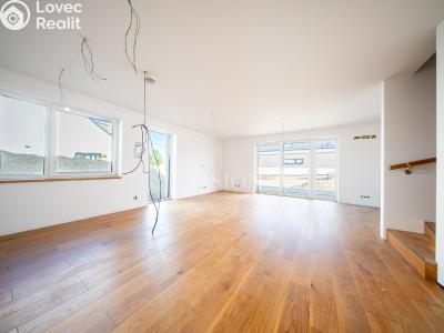 Продаж сімейного будинку Týnec nad Sázavou č. 2