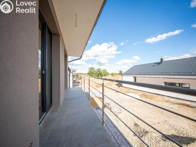 Продаж сімейного будинку Týnec nad Sázavou č. 21