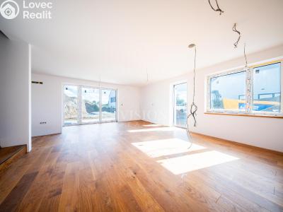 Продаж сімейного будинку Týnec nad Sázavou č. 2