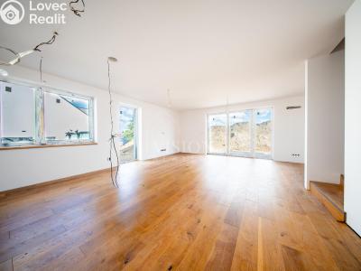Продаж сімейного будинку Týnec nad Sázavou č. 3