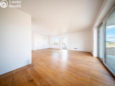 Продаж сімейного будинку Týnec nad Sázavou č. 4