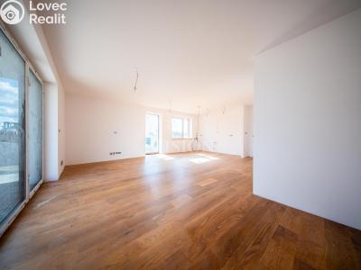 Продаж сімейного будинку Týnec nad Sázavou č. 5