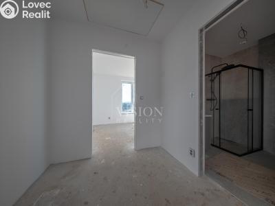 Продаж сімейного будинку Týnec nad Sázavou č. 11