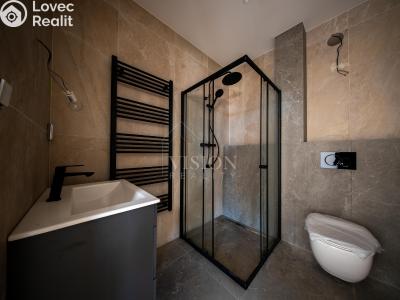 Продаж сімейного будинку Týnec nad Sázavou č. 12