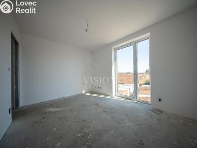 Продаж сімейного будинку Týnec nad Sázavou č. 15
