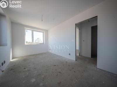 Продаж сімейного будинку Týnec nad Sázavou č. 18