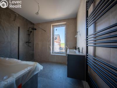 Продаж сімейного будинку Týnec nad Sázavou č. 24