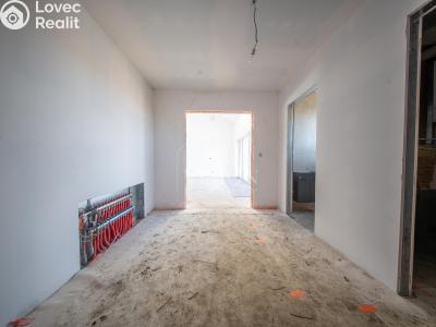 Продаж сімейного будинку Týnec nad Sázavou č. 28