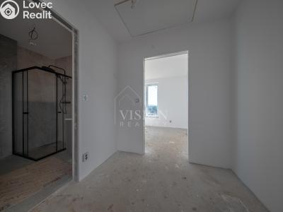 Продаж сімейного будинку Týnec nad Sázavou č. 11