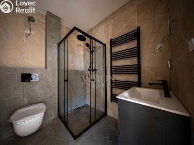 Продаж сімейного будинку Týnec nad Sázavou č. 12