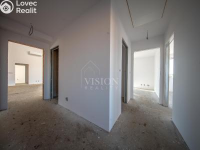 Продаж сімейного будинку Týnec nad Sázavou č. 14