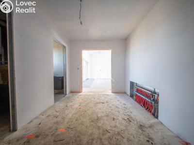 Продаж сімейного будинку Týnec nad Sázavou č. 28