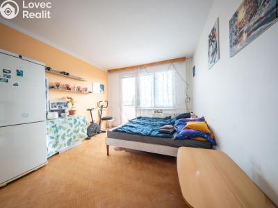 Sale apartment 3+1 České Budějovice, Pekárenská č. 6