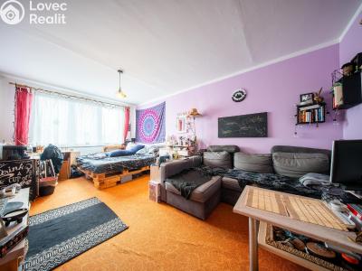 Sale apartment 3+1 České Budějovice, Pekárenská č. 8