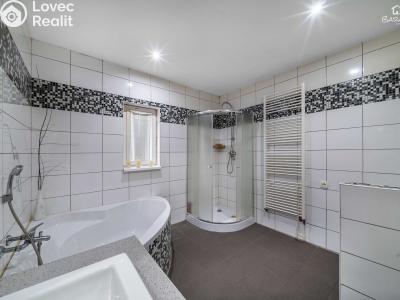 Продаж сімейного будинку Konstantinovy Lázně, V Aleji č. 5