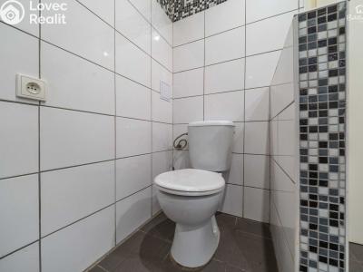 Продаж сімейного будинку Konstantinovy Lázně, V Aleji č. 9
