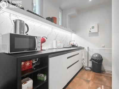 Pronájem obchodního prostoru Praha č. 7