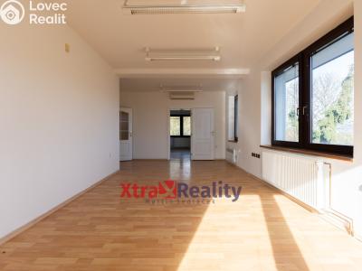 Prodej komerční nemovitosti Modlany č. 8