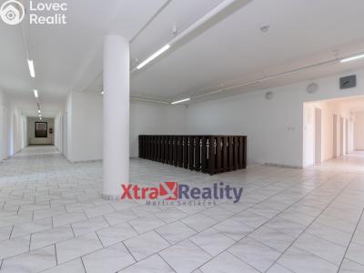 Prodej komerční nemovitosti Modlany č. 14