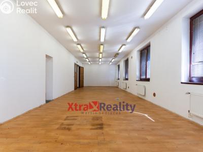 Prodej komerční nemovitosti Modlany č. 34