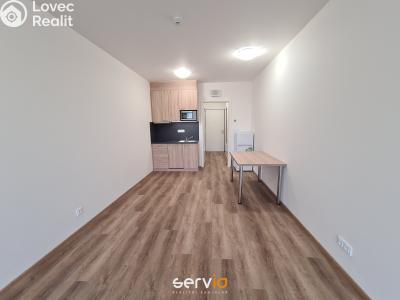 Pronájem bytu 1+KK Brno, Hvězdová č. 3
