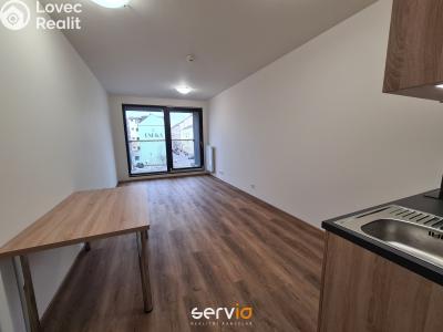 Pronájem bytu 1+KK Brno, Hvězdová č. 4