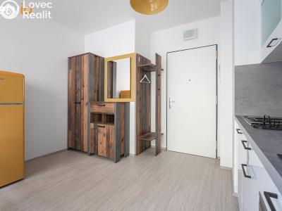 Pronájem bytu 2+1 Brno, Hvězdová č. 8