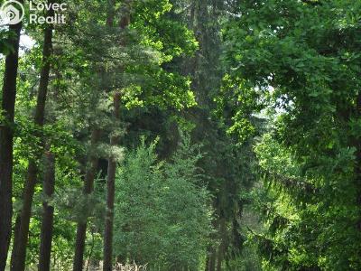 Prodej chaty Planá nad Lužnicí, Na Černé č. 23