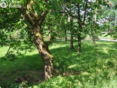 Prodej chaty Planá nad Lužnicí, Na Černé č. 36