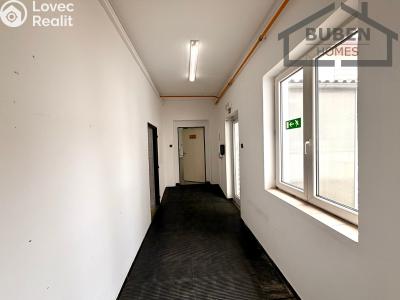 Prodej výrobní haly Staré Sedliště č. 19